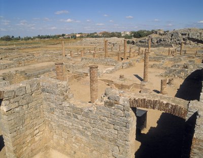 View of the Ruins by Roman